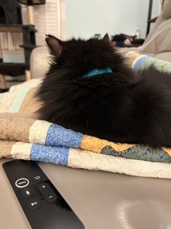 50 for my 50th – Part&nbsp;2